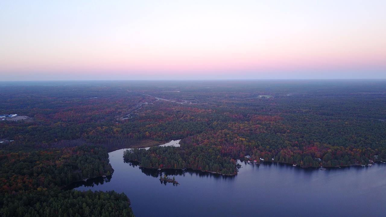 Four Ninety Muskoka B & B Gravenhurst Exterior photo